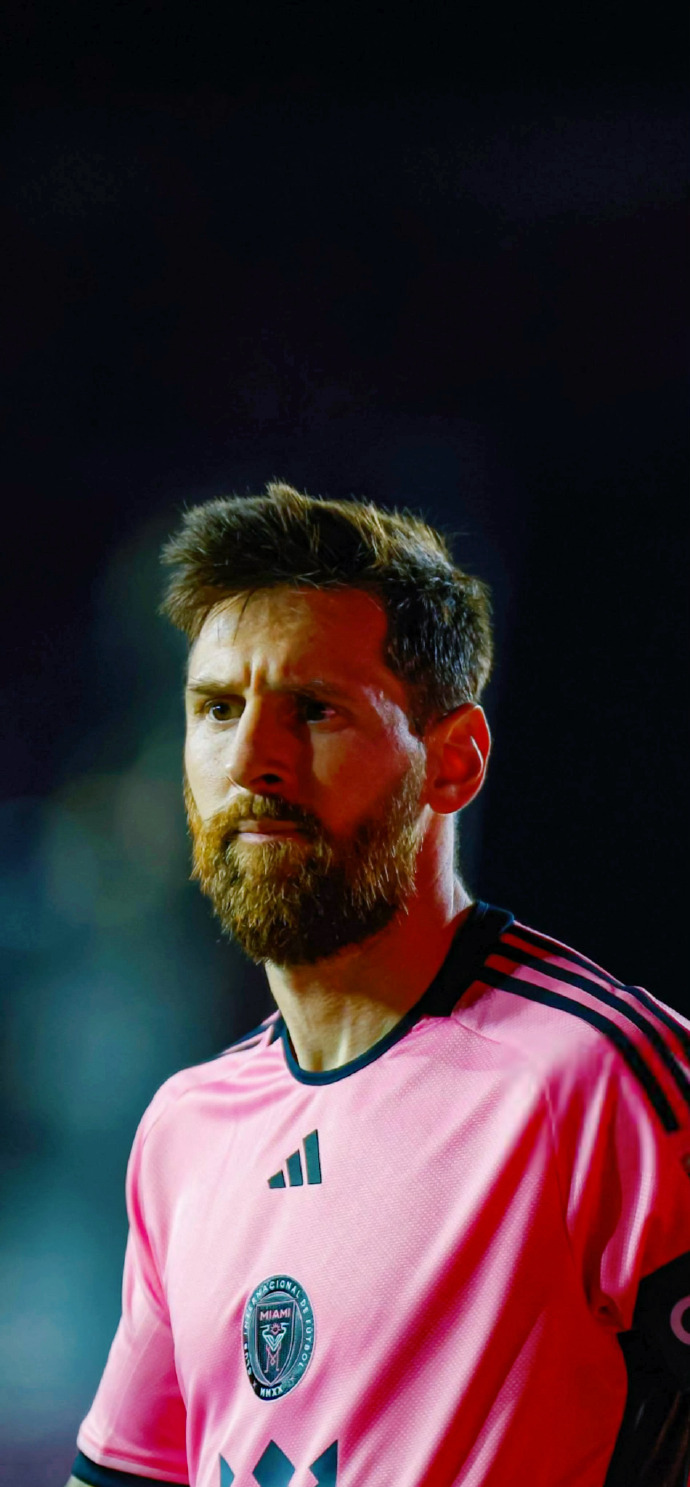 在接下来的 在接下来的